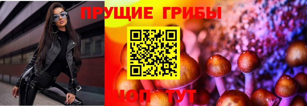 Тавда  Галлюциногенные грибы Magic Shrooms  где можно купить   Вход с VPN  Псилоцибиновые грибы MAGIC MUSHROOMS 