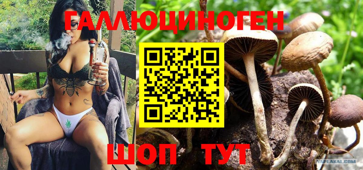 Псилоцибиновые грибы ЛСД Тавда